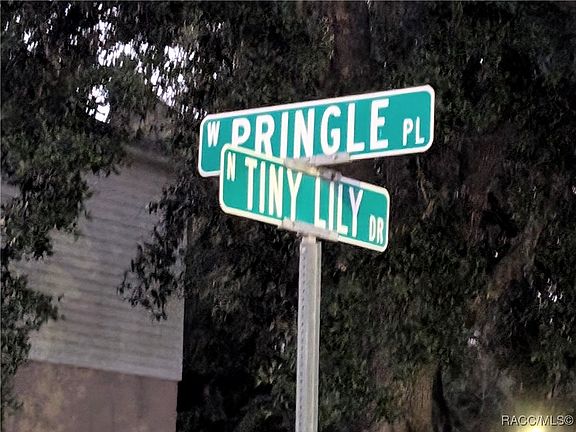 3rd image of 1449 W Pringle Pl