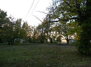 2nd image of 800 Bellevue St