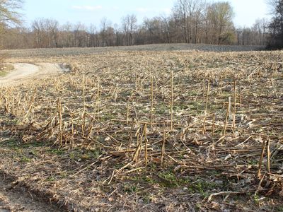 400 W Rural Flt Lot 2, Greencastle, IN, 46135