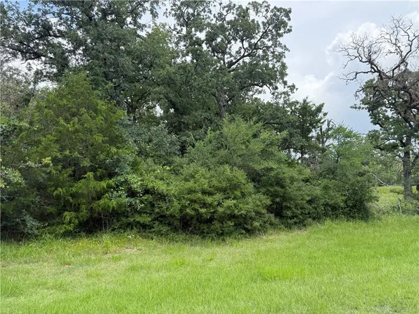 0 Lakewood Dr #96&97, Marquez, TX 77865