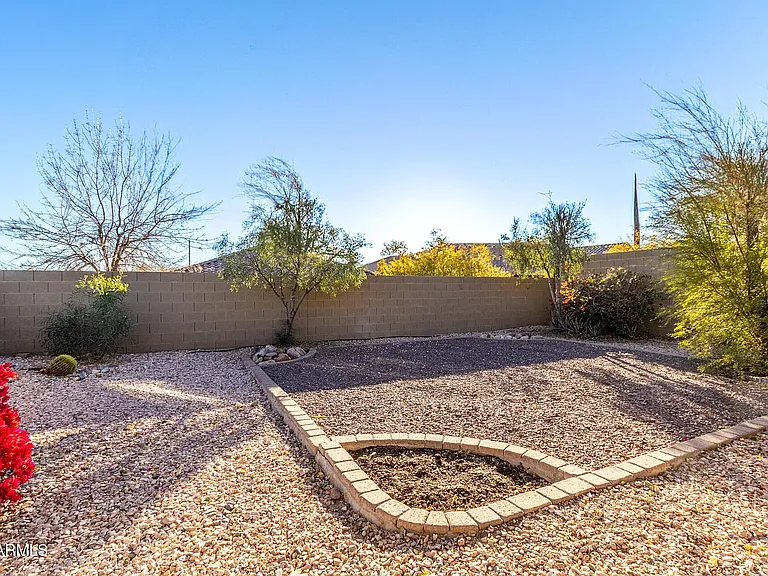 back yard