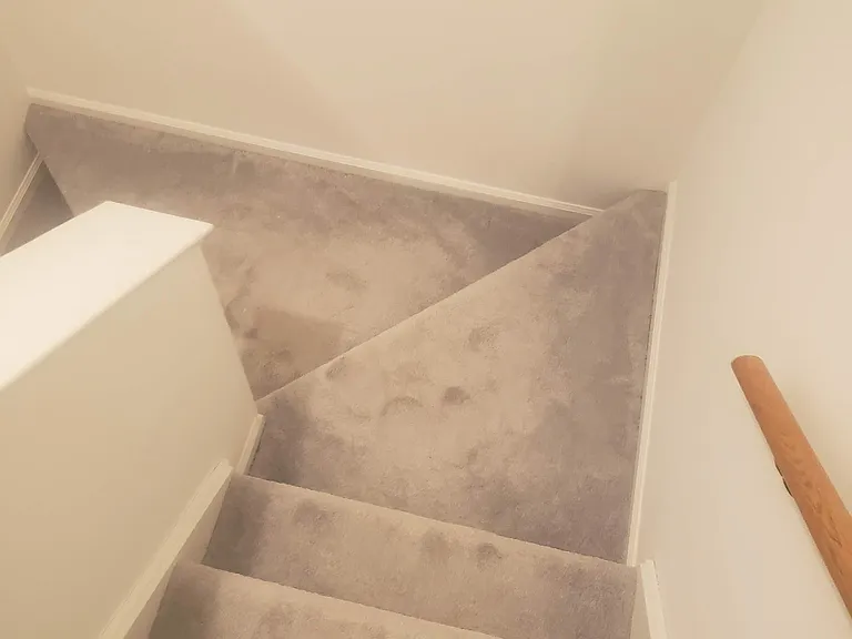 91 Cortland Ln #91 — Photo 15