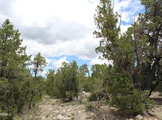 3373 Windy Ln #147, Heber, AZ 85928