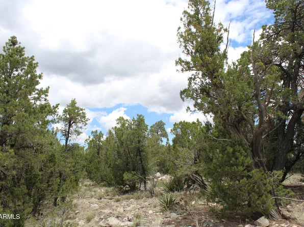 3373 Windy Lane #147, Heber, AZ 85928