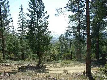 9875 Ernst Rd photo 1