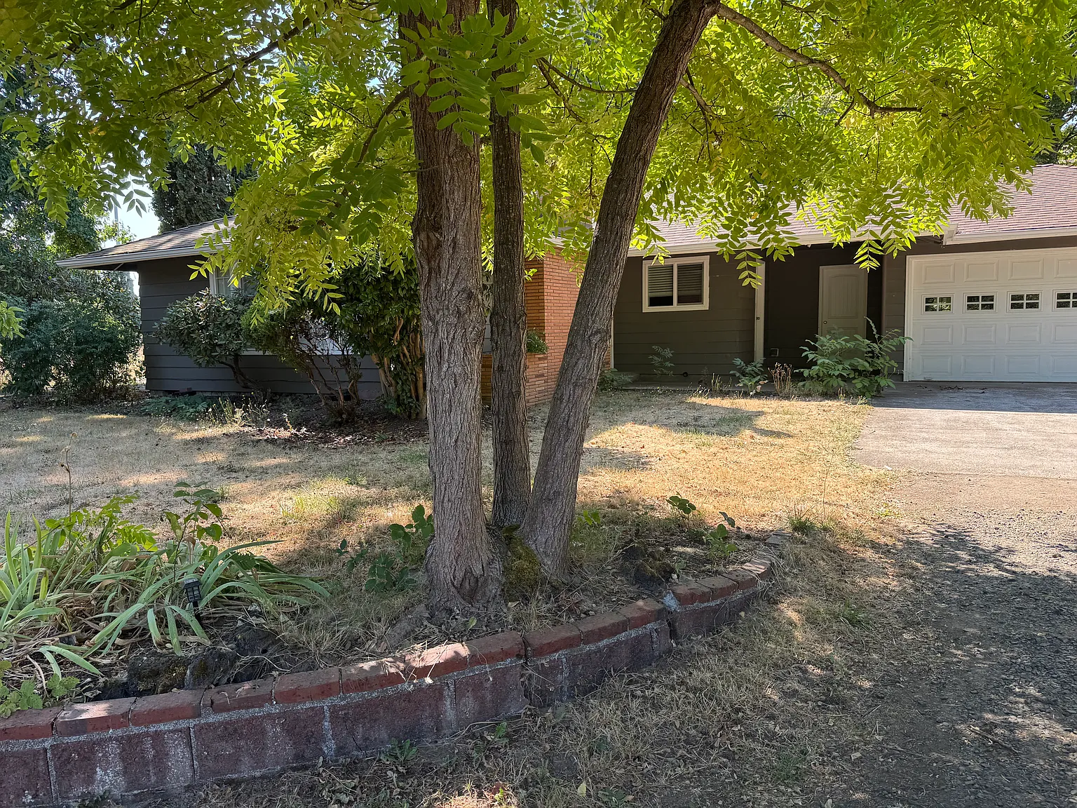 3 bed, 1602 sqft, $2,300 — Photo 2
