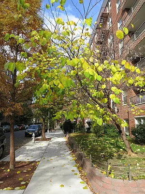 Rented by Citi Habitats | media 31