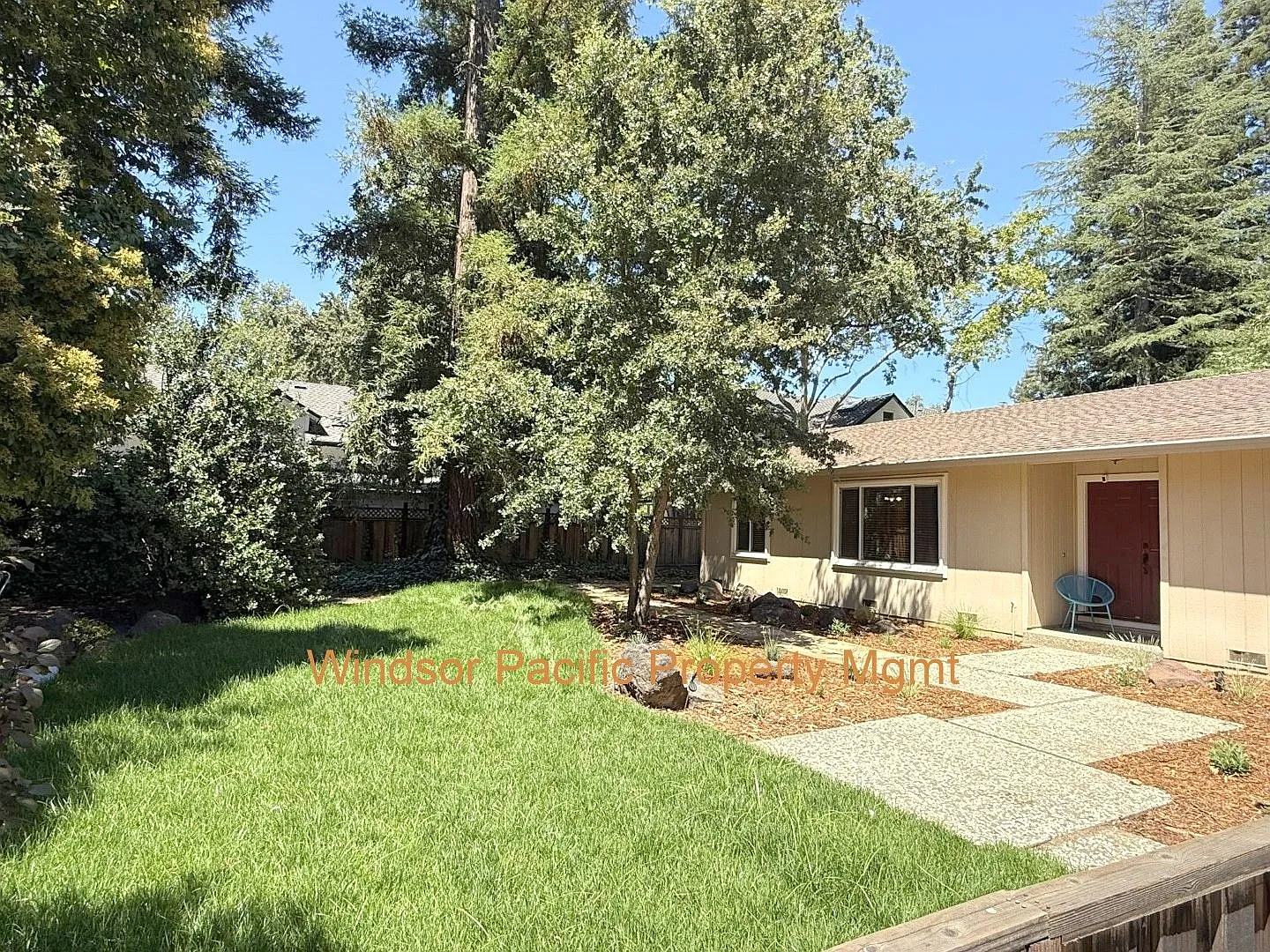 Remodeled one story home in highly desirable Alamo with huge park like yard ! — Photo 3