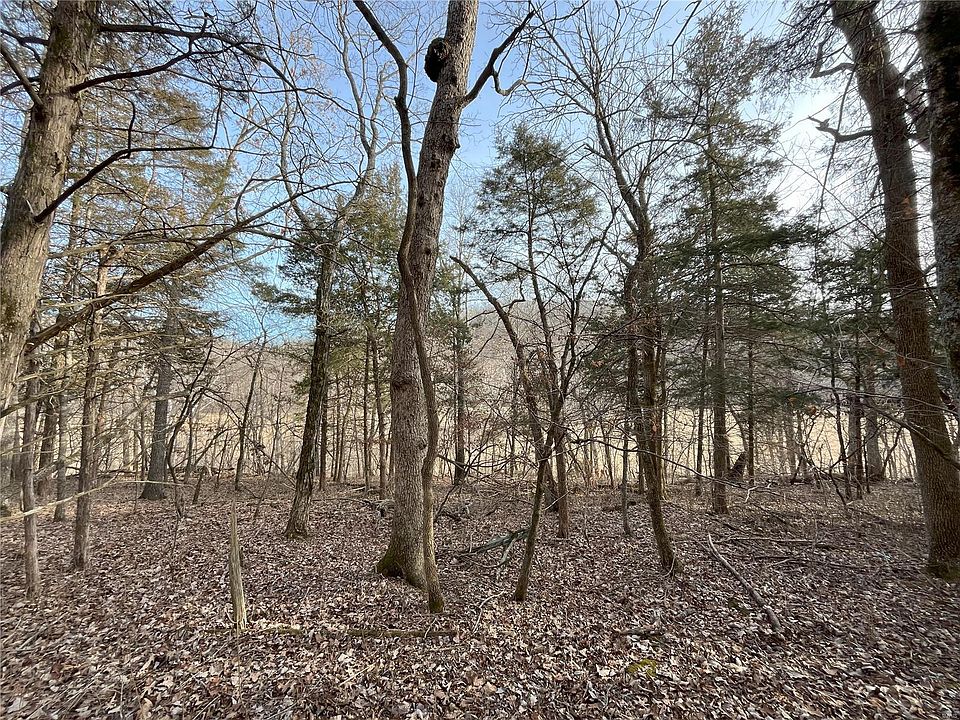 1st image of 2547 Alpine Woods Dr