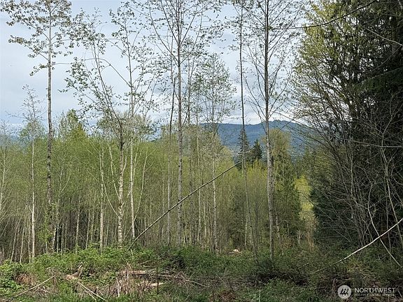 2nd image of 33115 37th Avenue NE