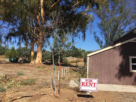 view of beautiful tree filled yard