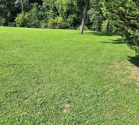 3rd image of River Bank Rd #34