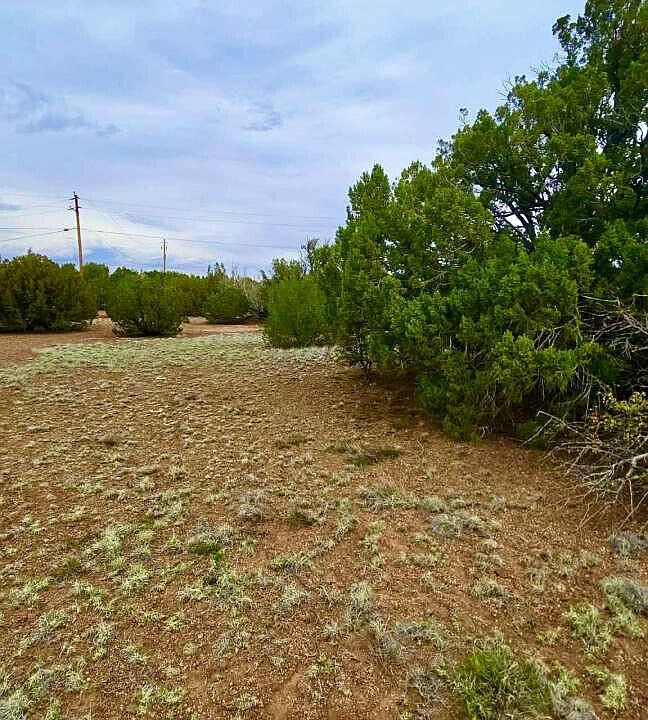 1st image of 8458 Soto Pl