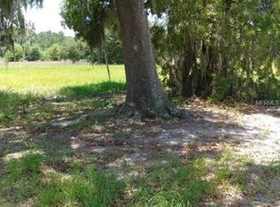 4526 Claire Rose Ct, Mount Dora, FL 32757