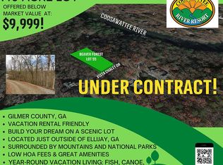 Vista Chalet Dr LOT 55, Ellijay, GA 30540