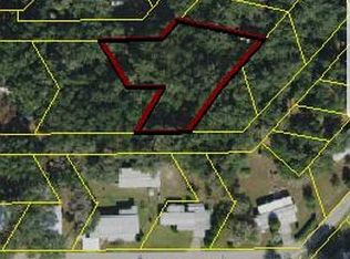 1627 County Road 434b, Lake Panasoffkee, FL 33538
