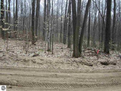 Shumaker Rd, Bellaire, MI, 49615