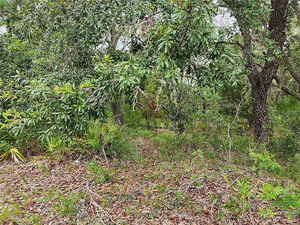 1st image of 18364 PARAKEET ROAD LOT 0250