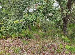 18364 Parakeet Rd #250, Brooksville, FL 34614