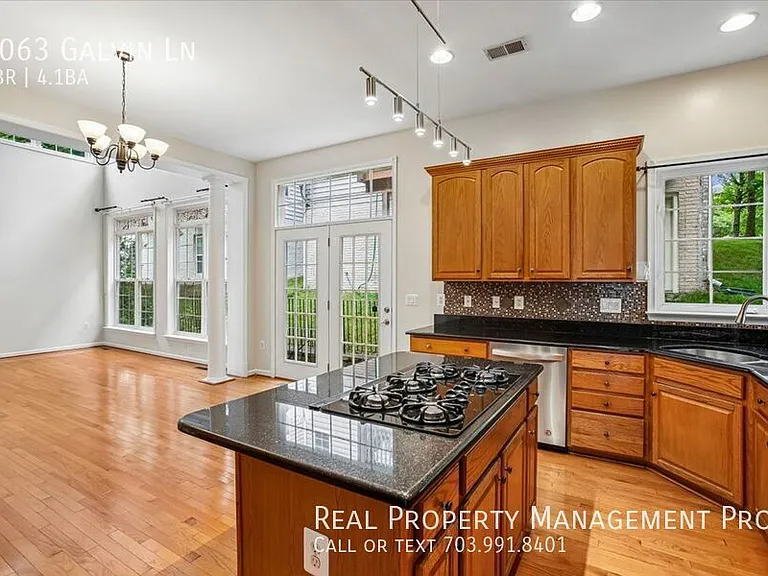 9063 Galvin Ln — Photo 10
