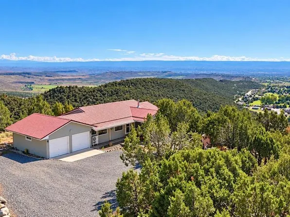 24225 Valley View Circle, Cedaredge, CO 81413