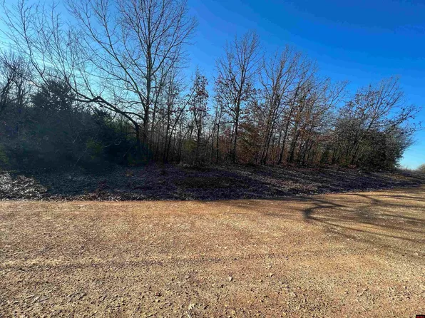 TRACT D Mc #5004, Valley Springs, AR 72682