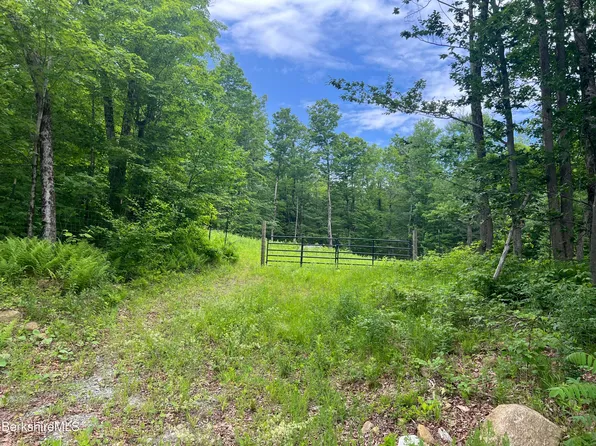 LOT 217 Three Jacobs Ladder Rd, Becket, MA 01223