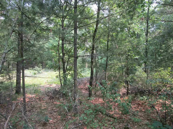 L18 W 17th Dr, Arkdale, WI 54613