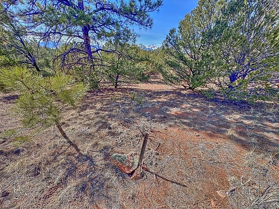 4th image of 426 Arapaho Rd