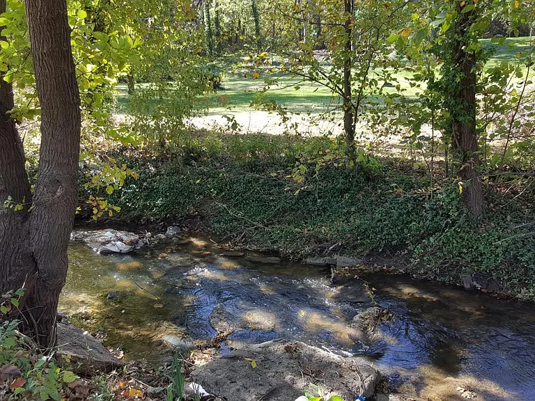 Walk to South Park Nearby