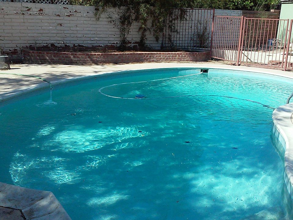 Cool pool for Summer survival!