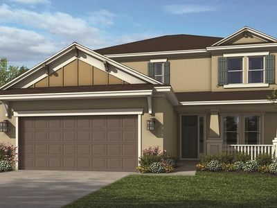 6156 Maidenstone Way, Palmetto, FL, 34221