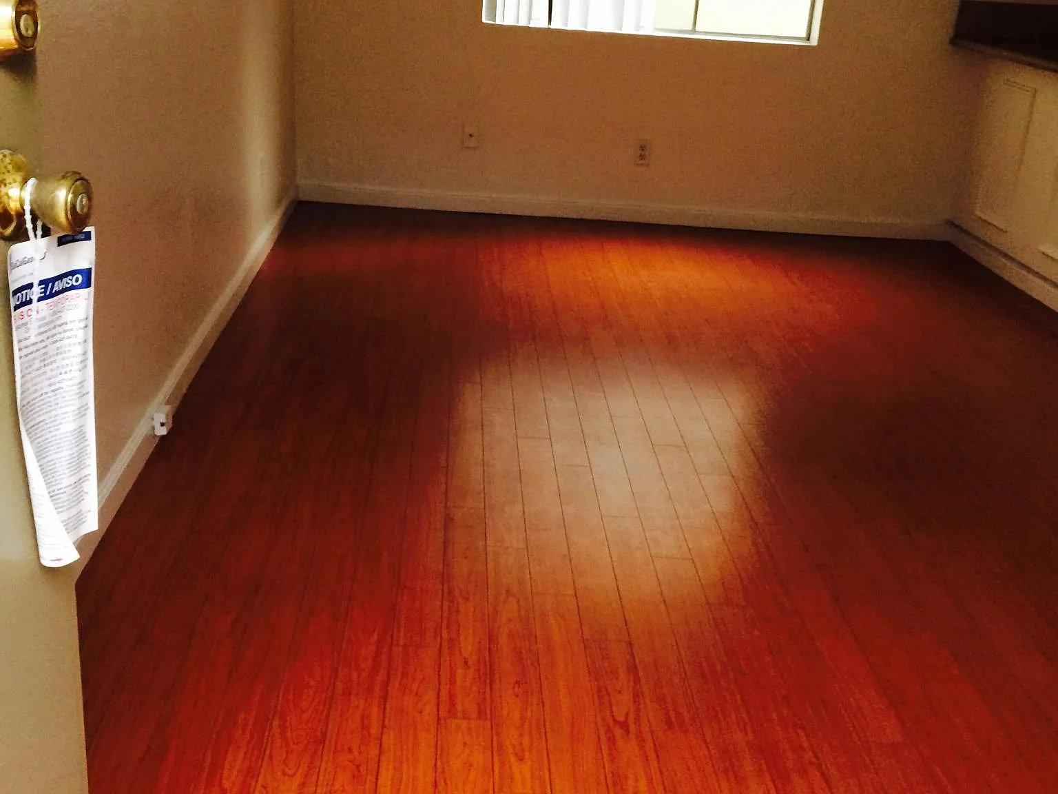 2 bed, 920 sqft, $2,595 — Photo 2