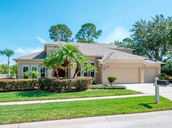 21655 Cormorant Cove Dr, Land O Lakes, FL 34637