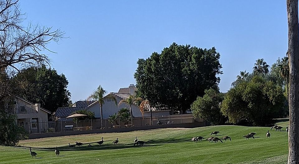 1st image of 6247 W Lone Cactus Dr