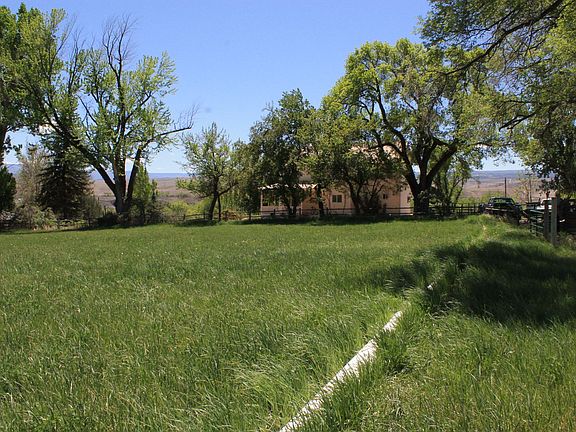Irrigated Field