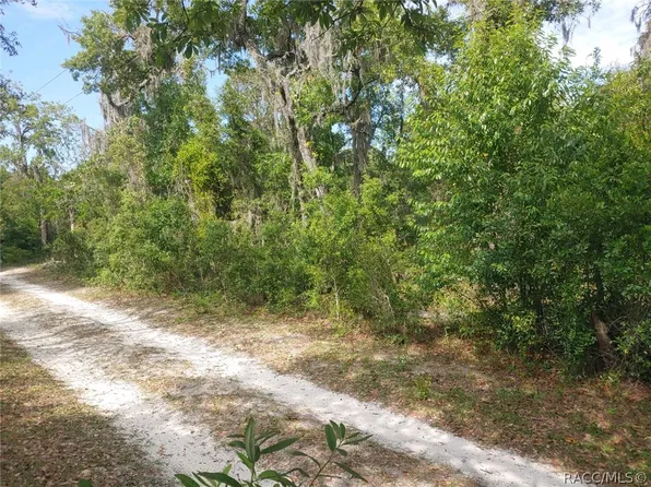 5041 S Sandspur Point, Homosassa, FL 34446