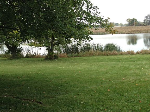 pond