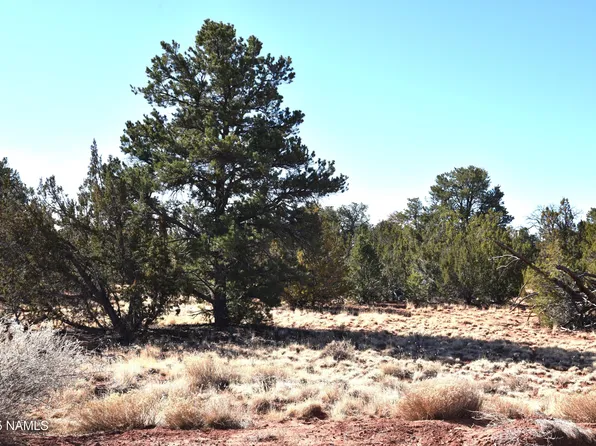 6206 Lasso Loop, Williams, AZ 86046