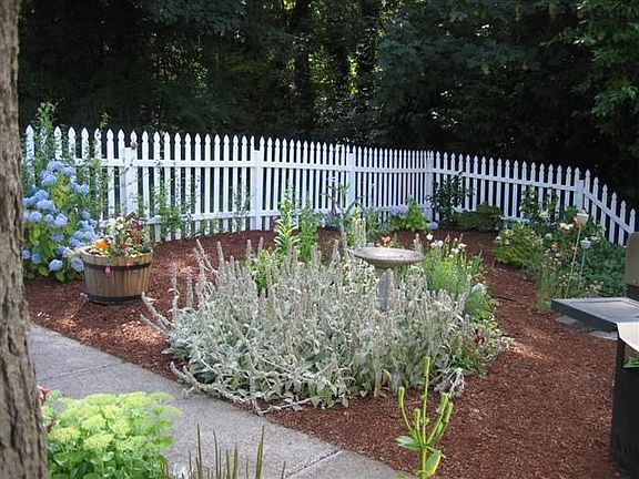 Front Yard