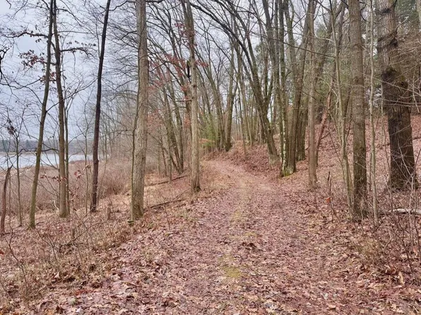 V/l Sindeler Rd, Branch, MI 49402