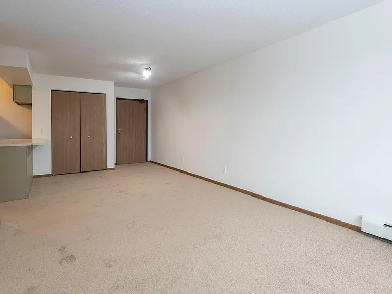1011 5th Ave S #303 — Photo 9