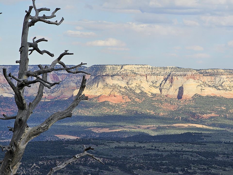1st image of Zions Bluff County Road 2090