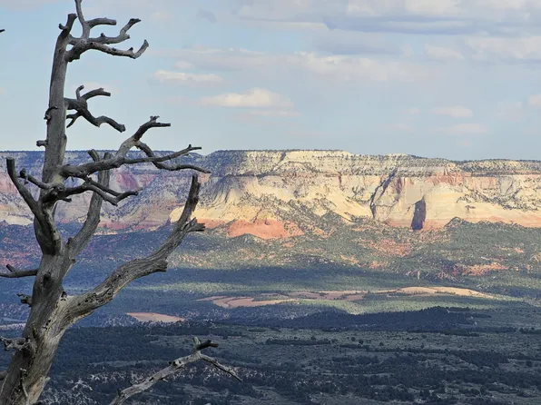 Zions Bluff County Road 2090, Mount Carmel, UT 84755