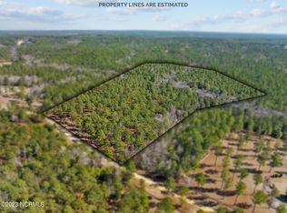 LOT 19 Reynwood Ct, Jackson Springs, NC 27281
