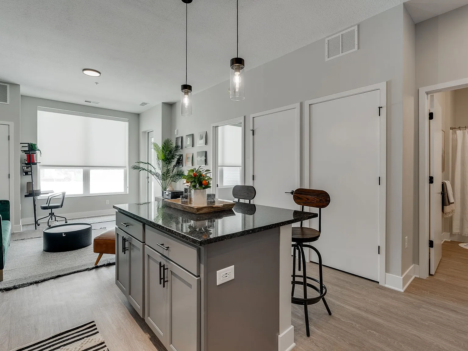 The Isaac Apartments — Photo 4