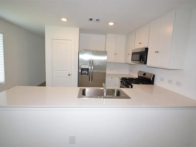 26926 Dalmatian Bellflower Dr — Photo 6