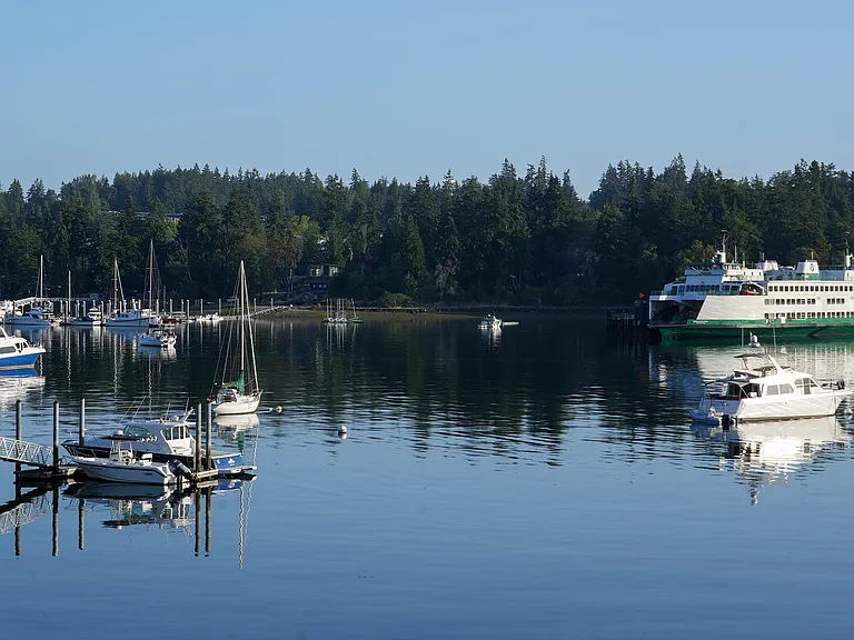 Eagle harbor views
