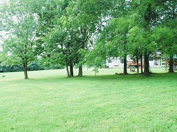 Back Yard Facing House