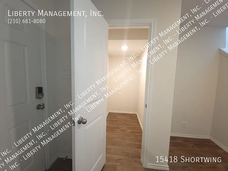 15418 Shortwing — Photo 4